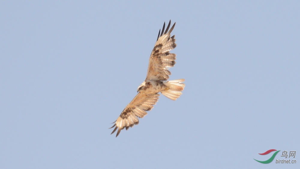 DSC_9202.JPG