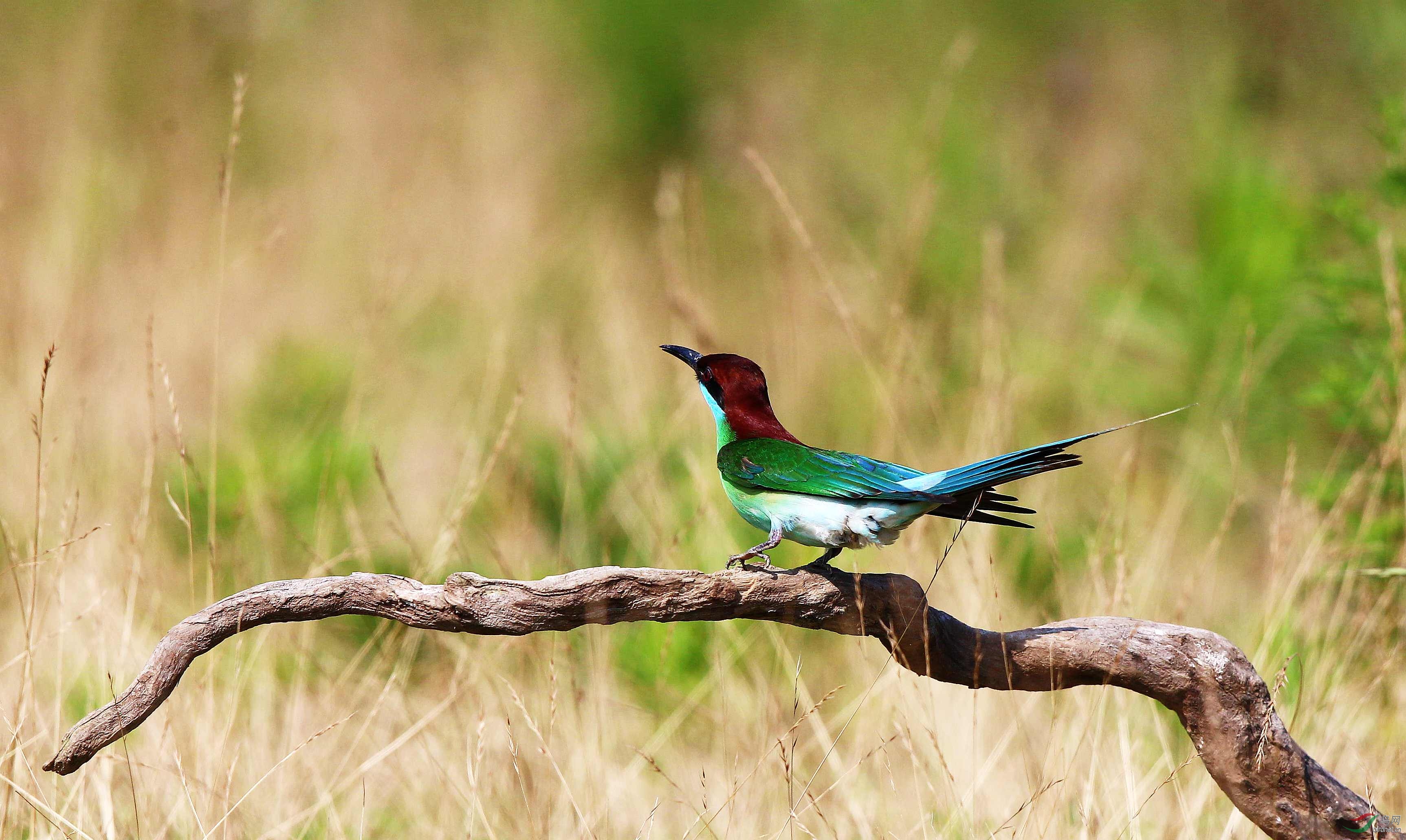 H46R3979_���� (3).jpg