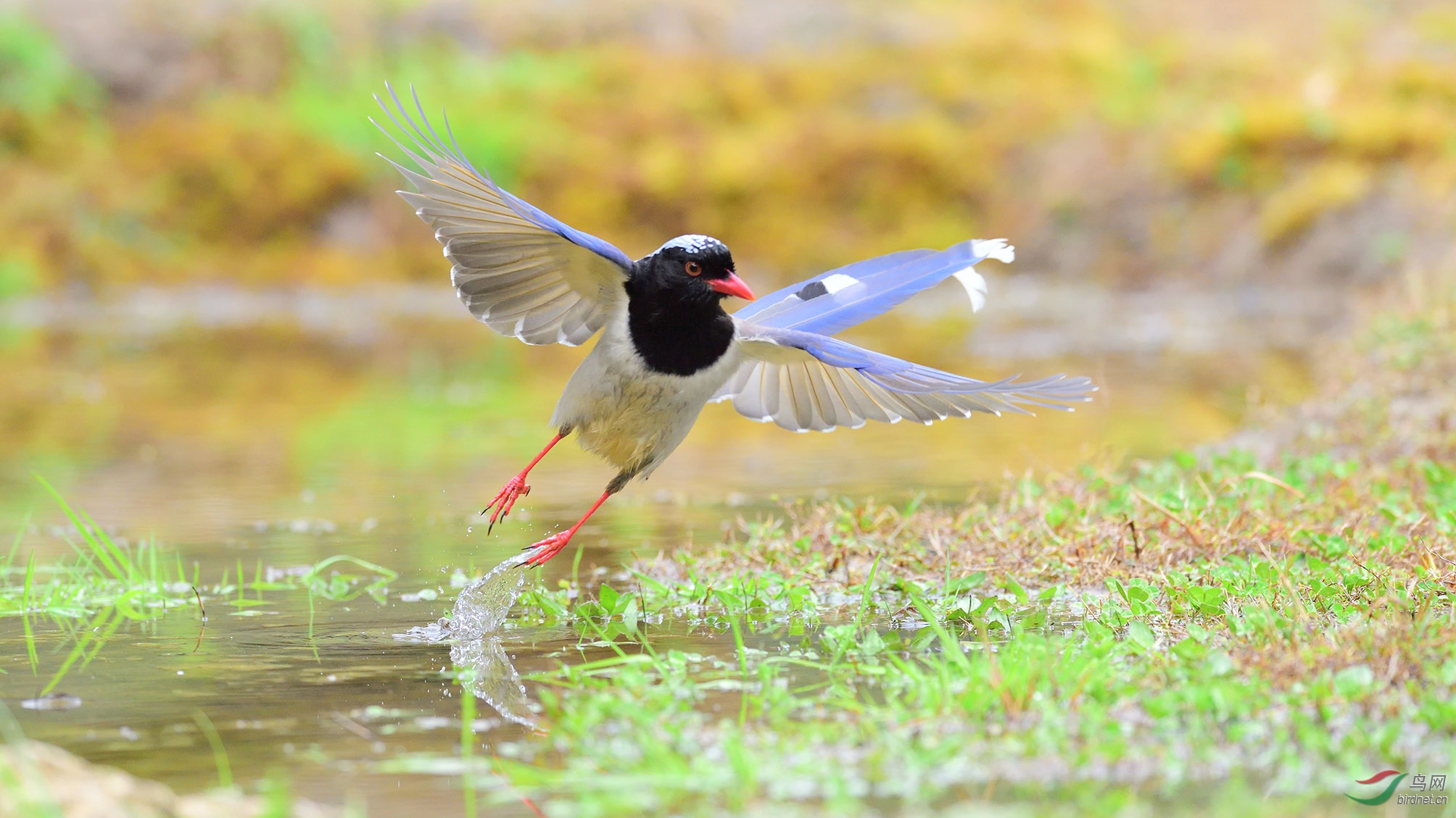 DSC_9127_������ȵ��Ʒ�� �ϴ�.jpg