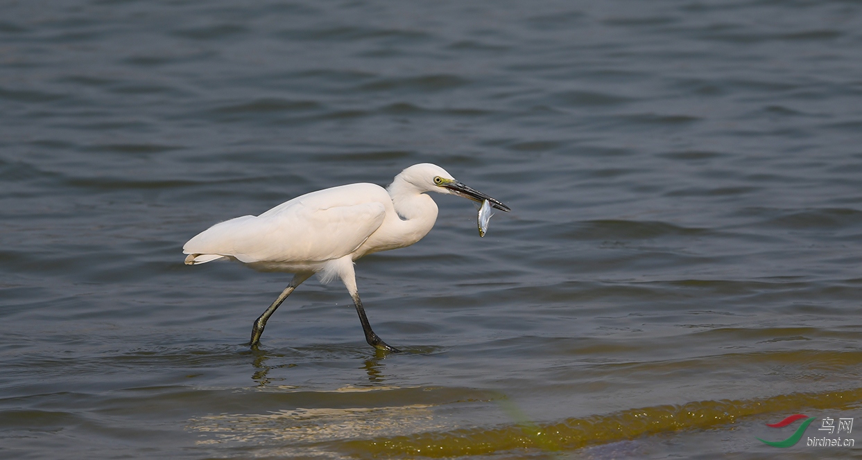 DSC_4393.JPG