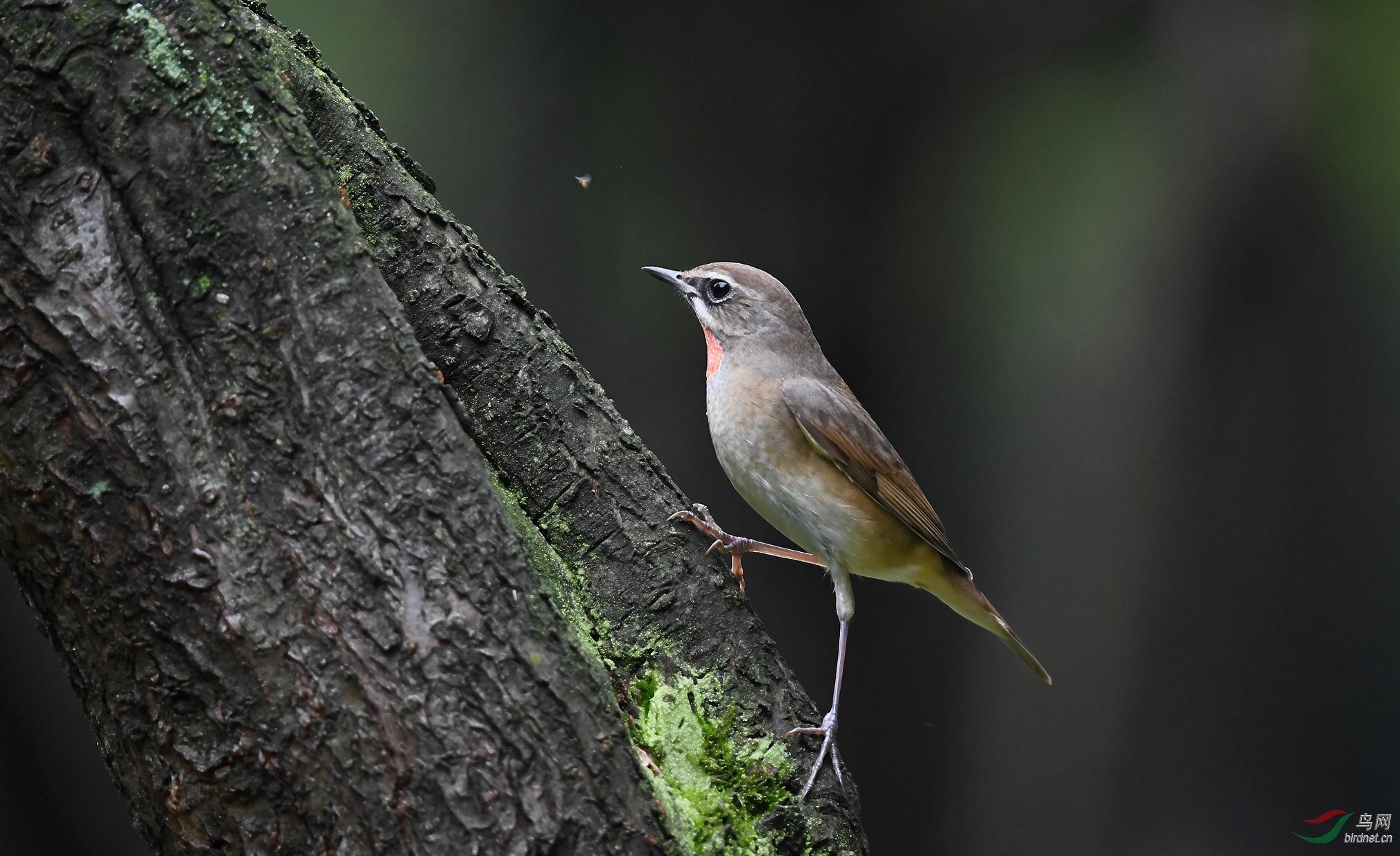 DSC_3471_����_DxO (����).jpg