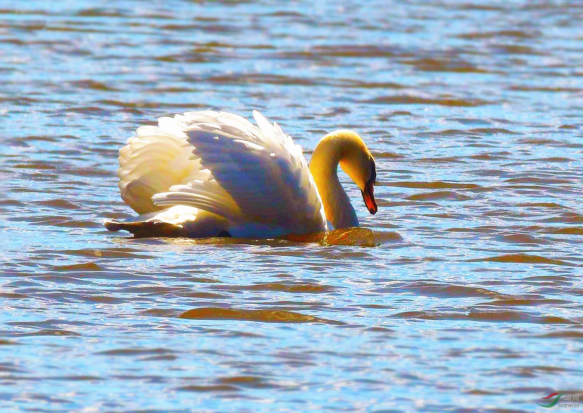 DSC_5476 ����.jpg