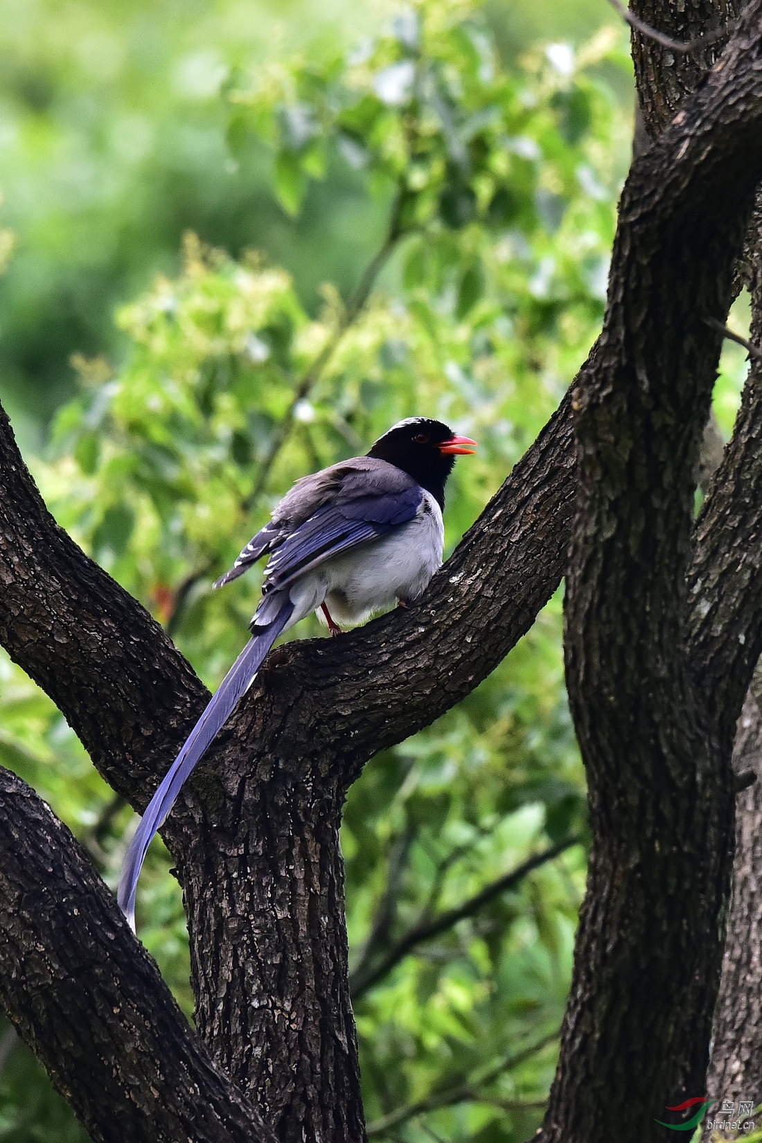 DSC_0473.JPG