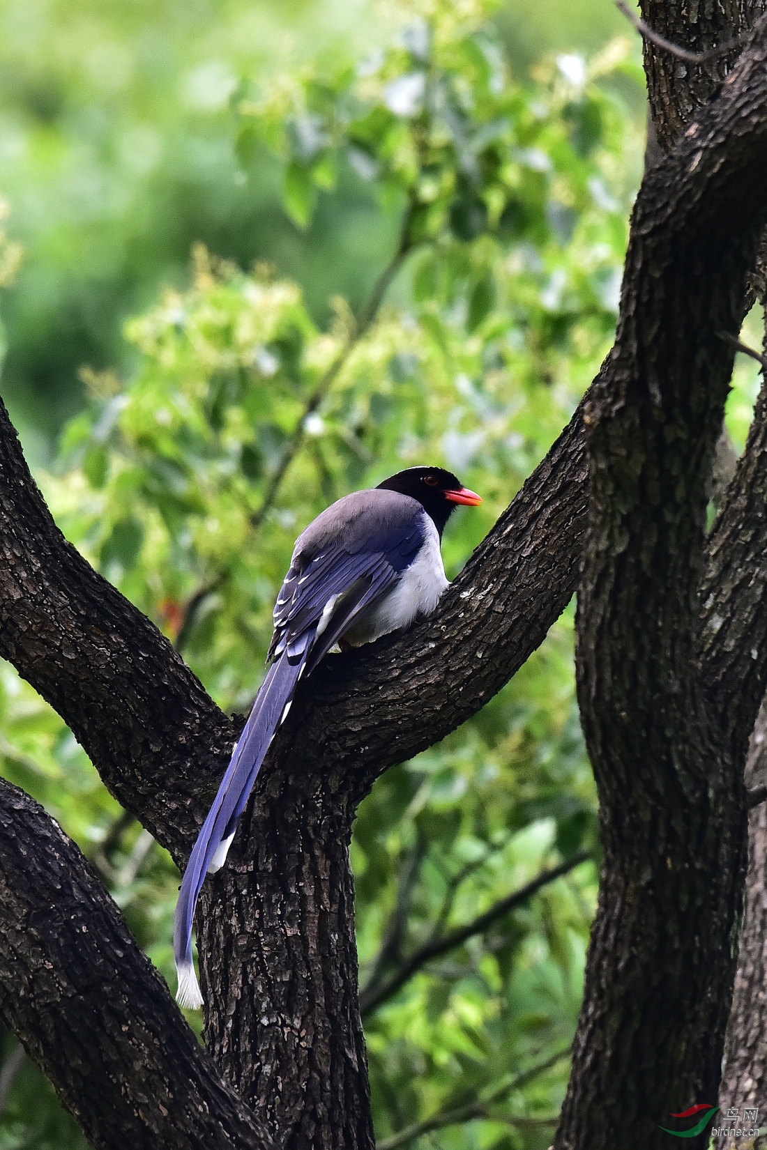 DSC_0474.JPG