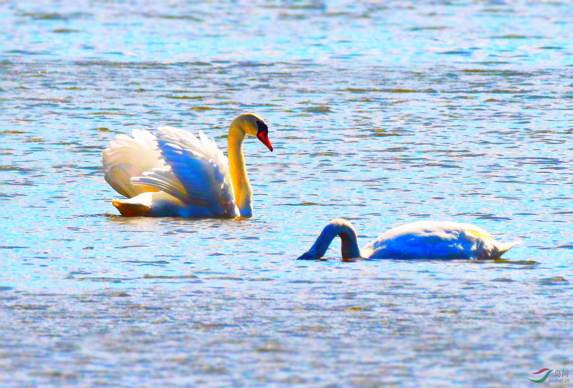 DSC_5538_.jpg