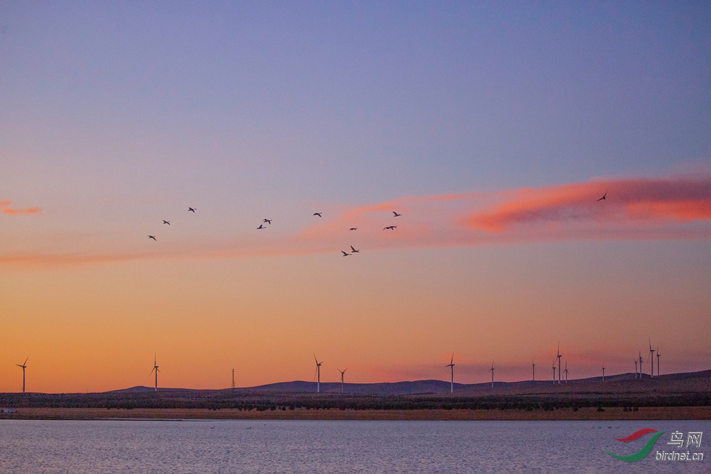 _16A1678  01_����.jpg