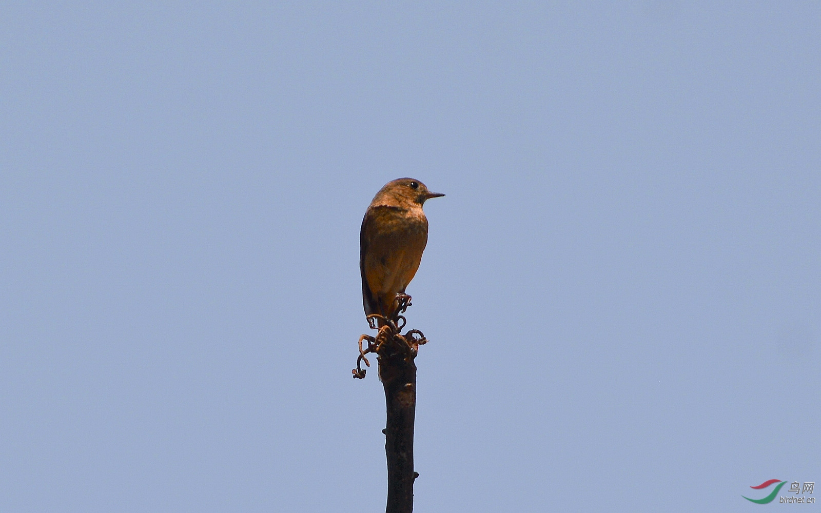 DSC_8693.JPG