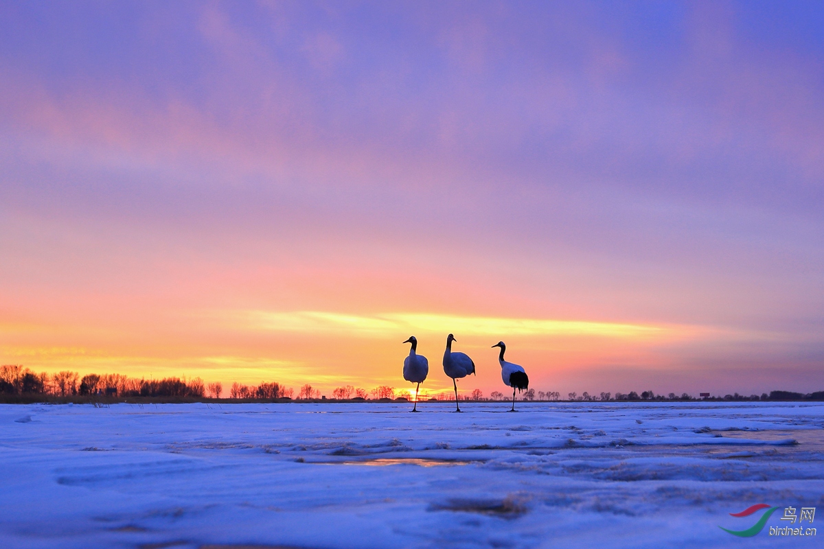 ����֮��