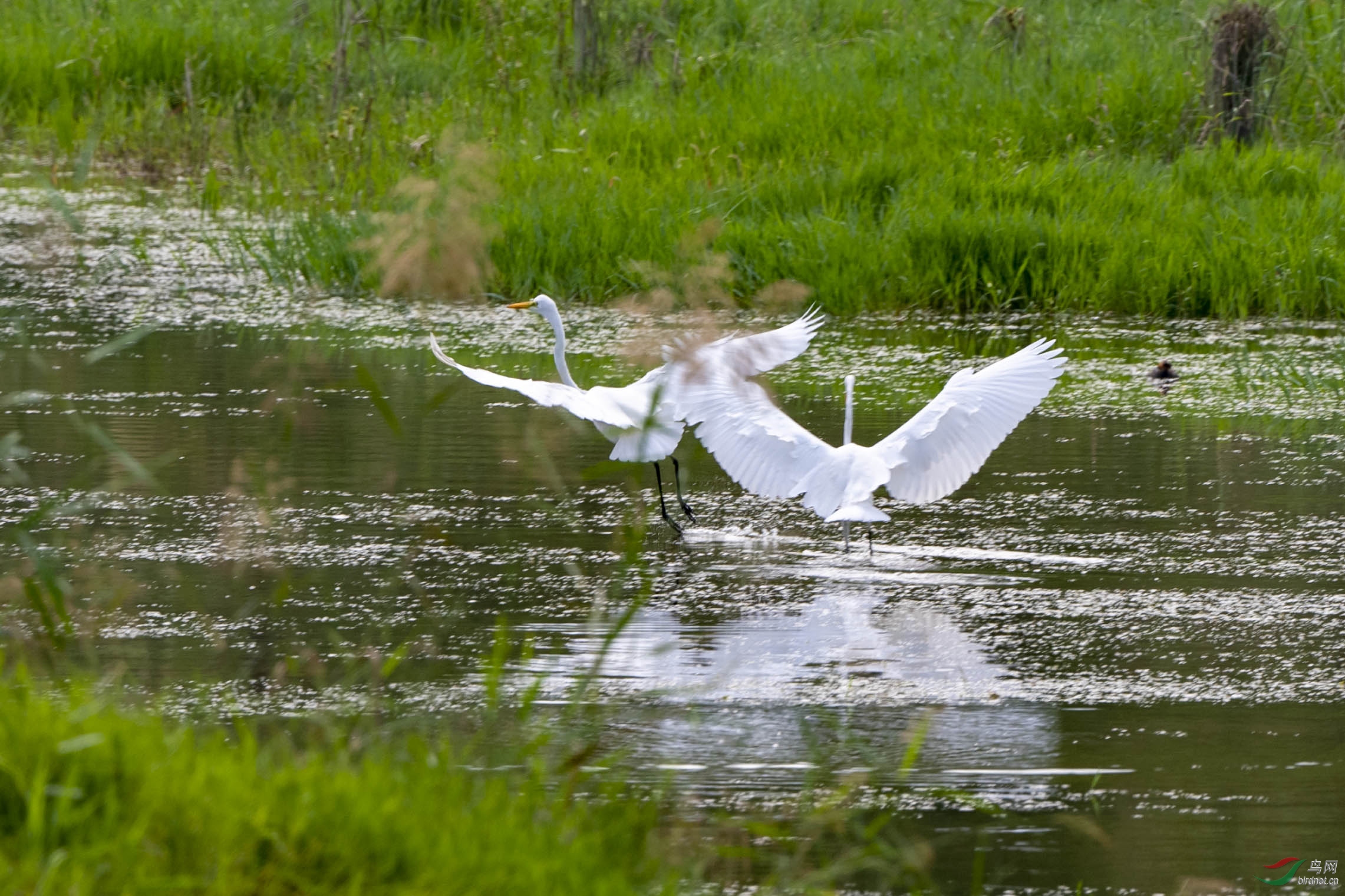 D50_4601.jpg