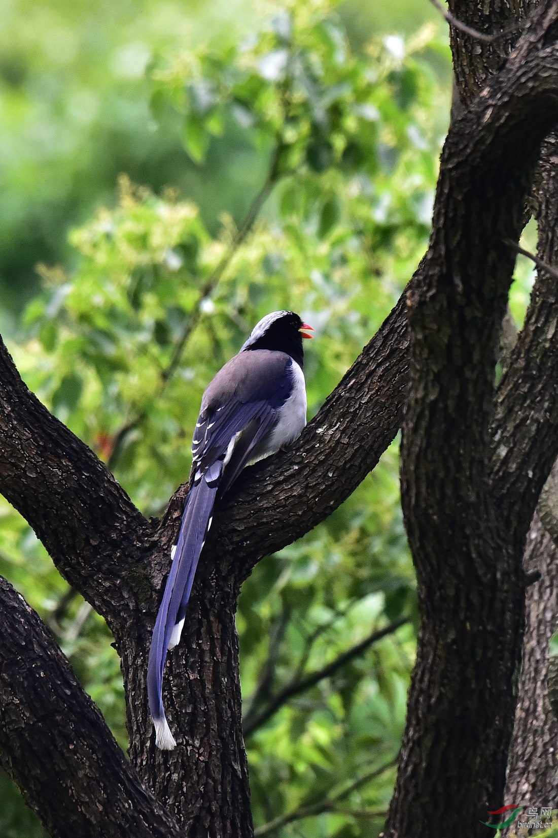 DSC_0477.JPG