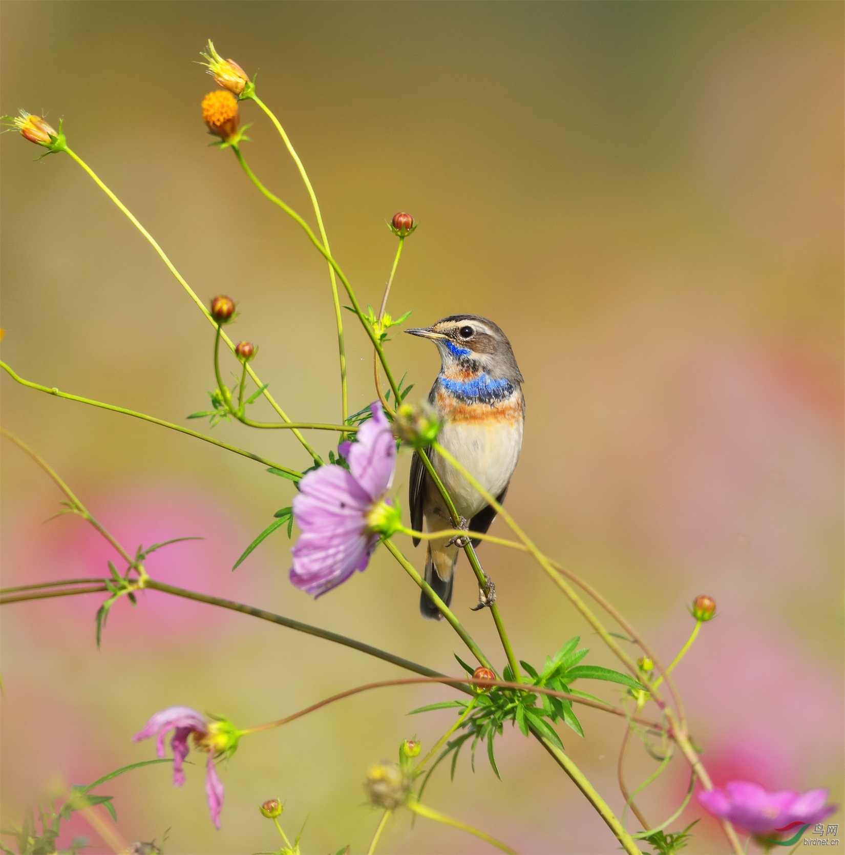 4 - ���� (2).JPG