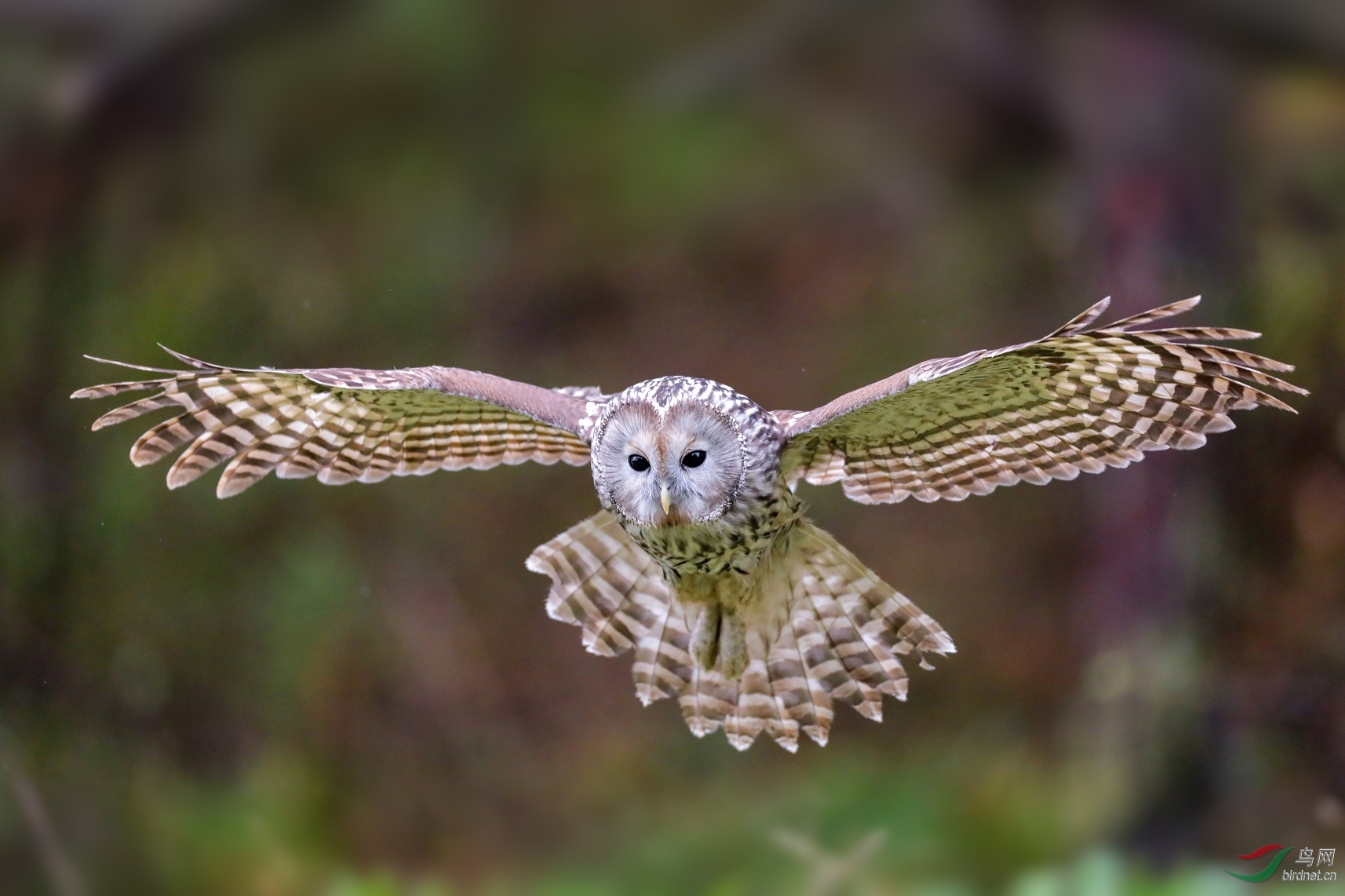 LRM_EXPORT_34714567797360_20191004_174634457_polarr.jpg