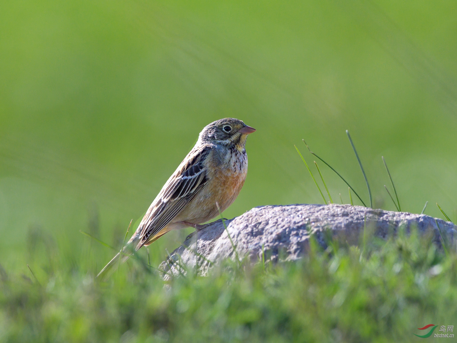 DSC_2958.jpg
