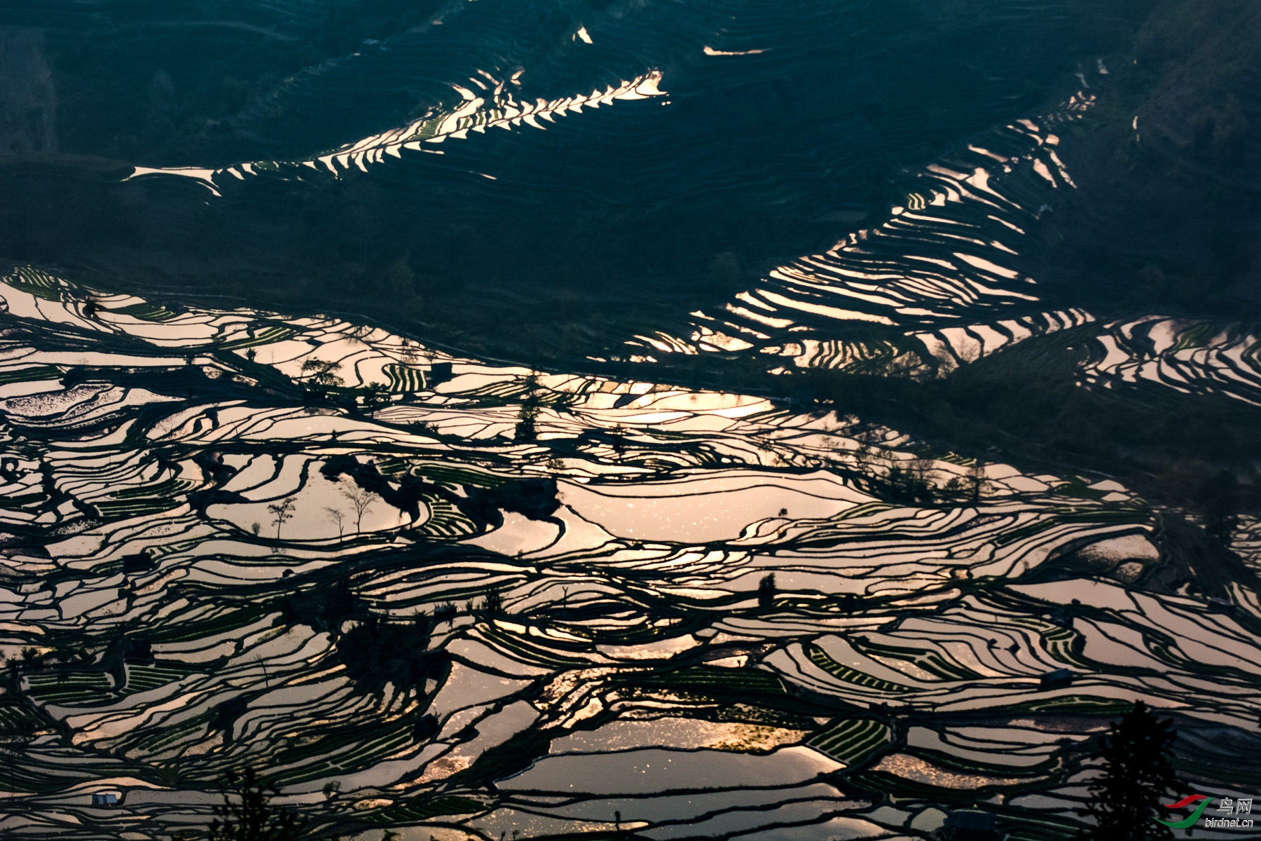 ����ͩ/׳��ɽ��