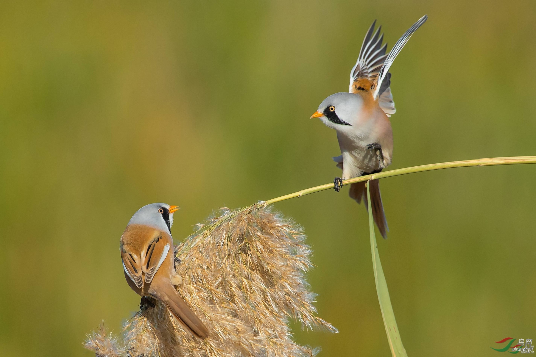 ����/���俪ʼ