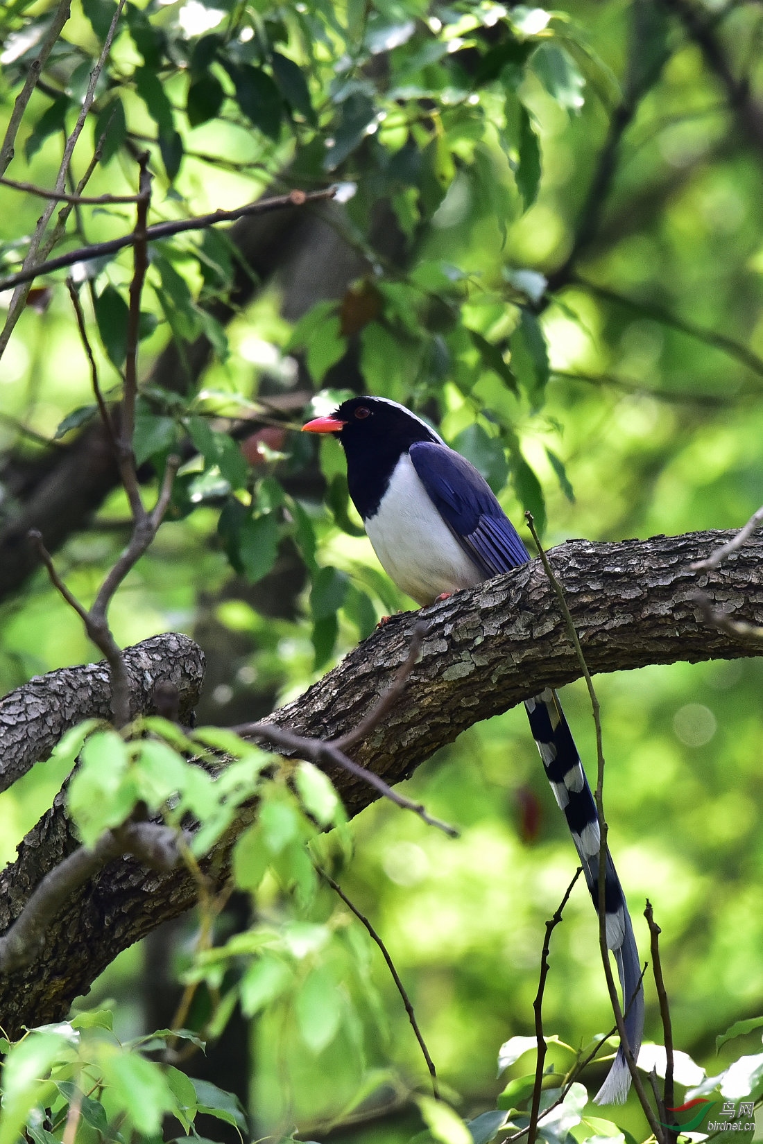 DSC_0482.JPG