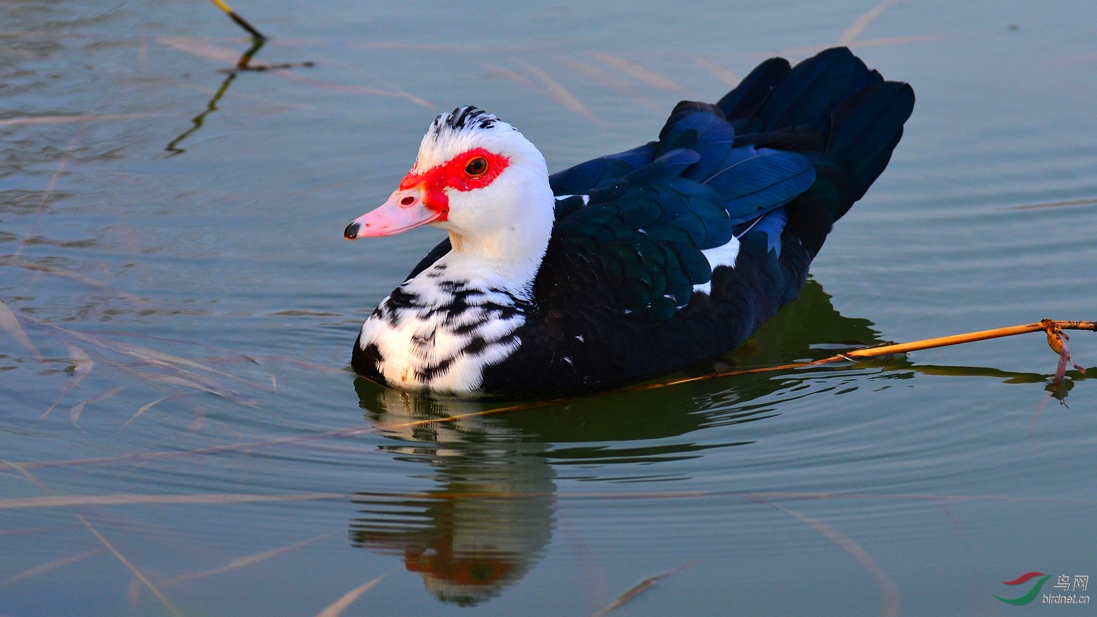 DSC_3980.JPG