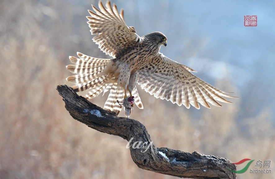 5 - ����.JPG