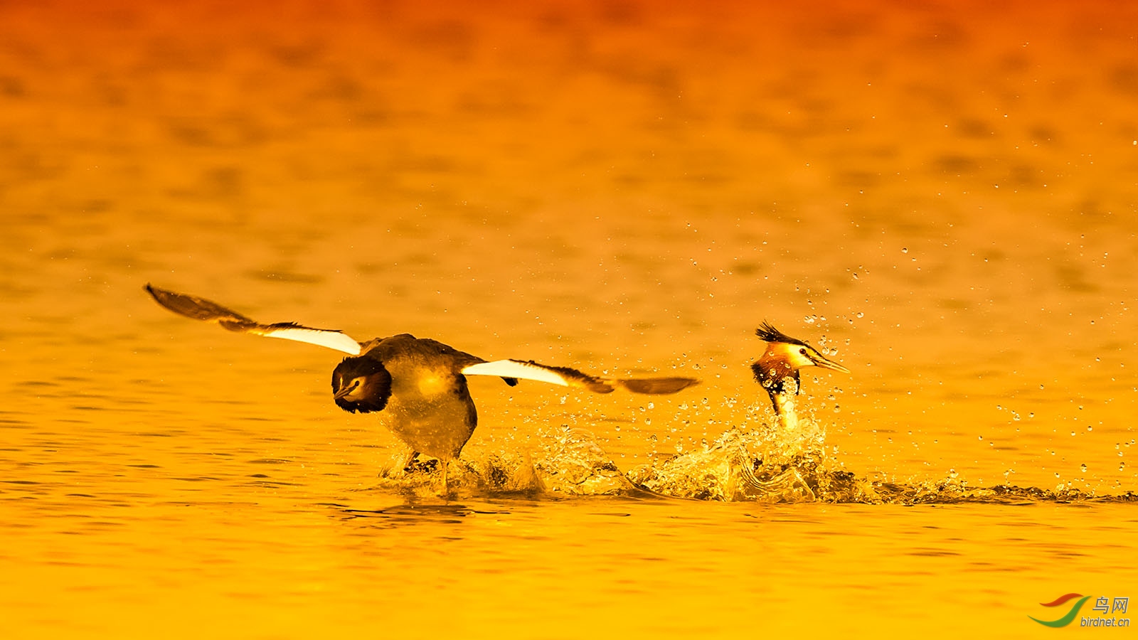 XZ010465 ����.jpg