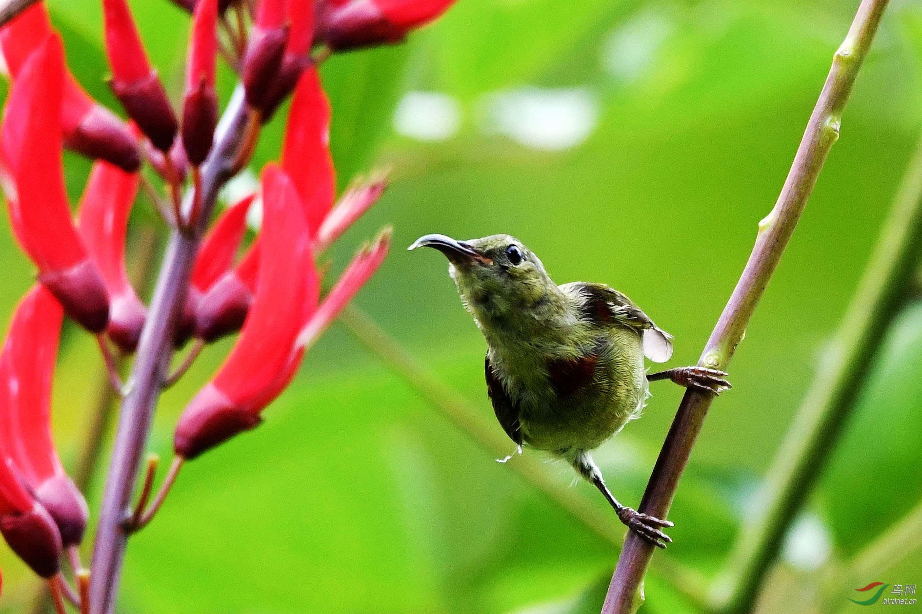 DSC_2686.JPG