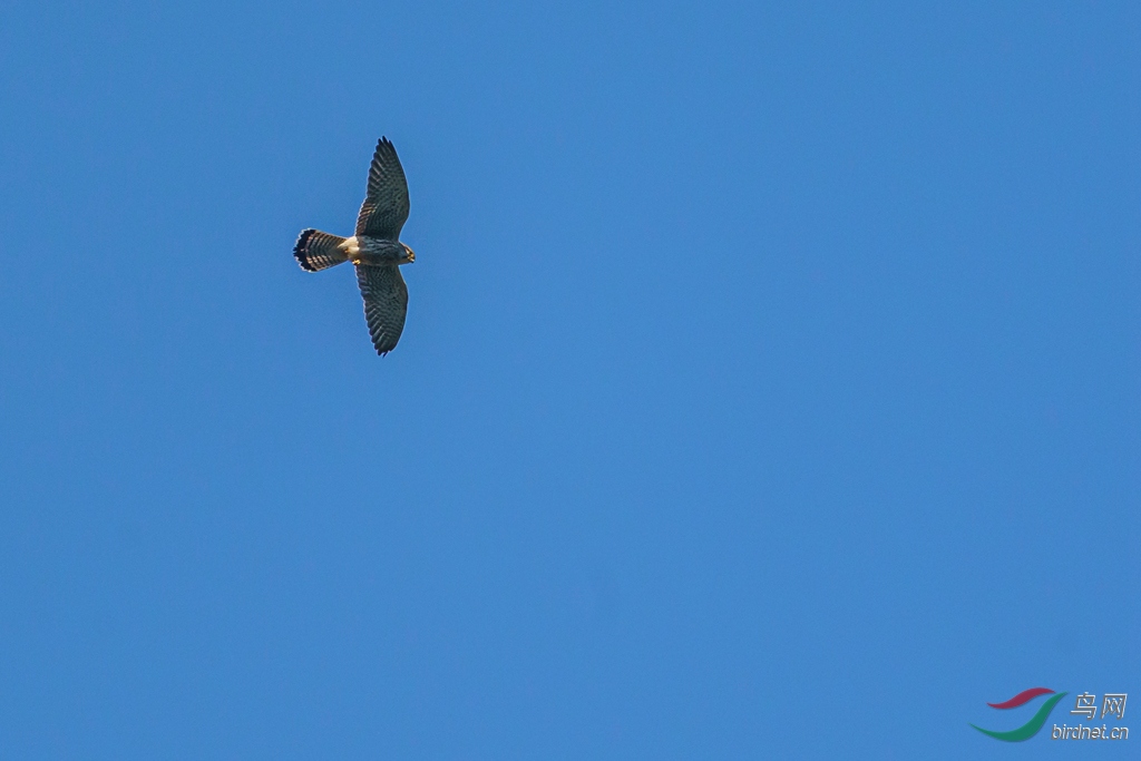 DSC07505_����.jpg