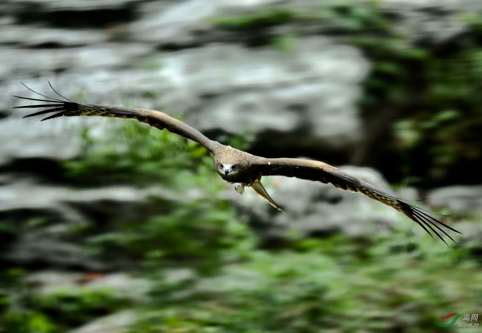 8A336536-0034-46F3-AF2A-DE3F4586F62A.jpeg