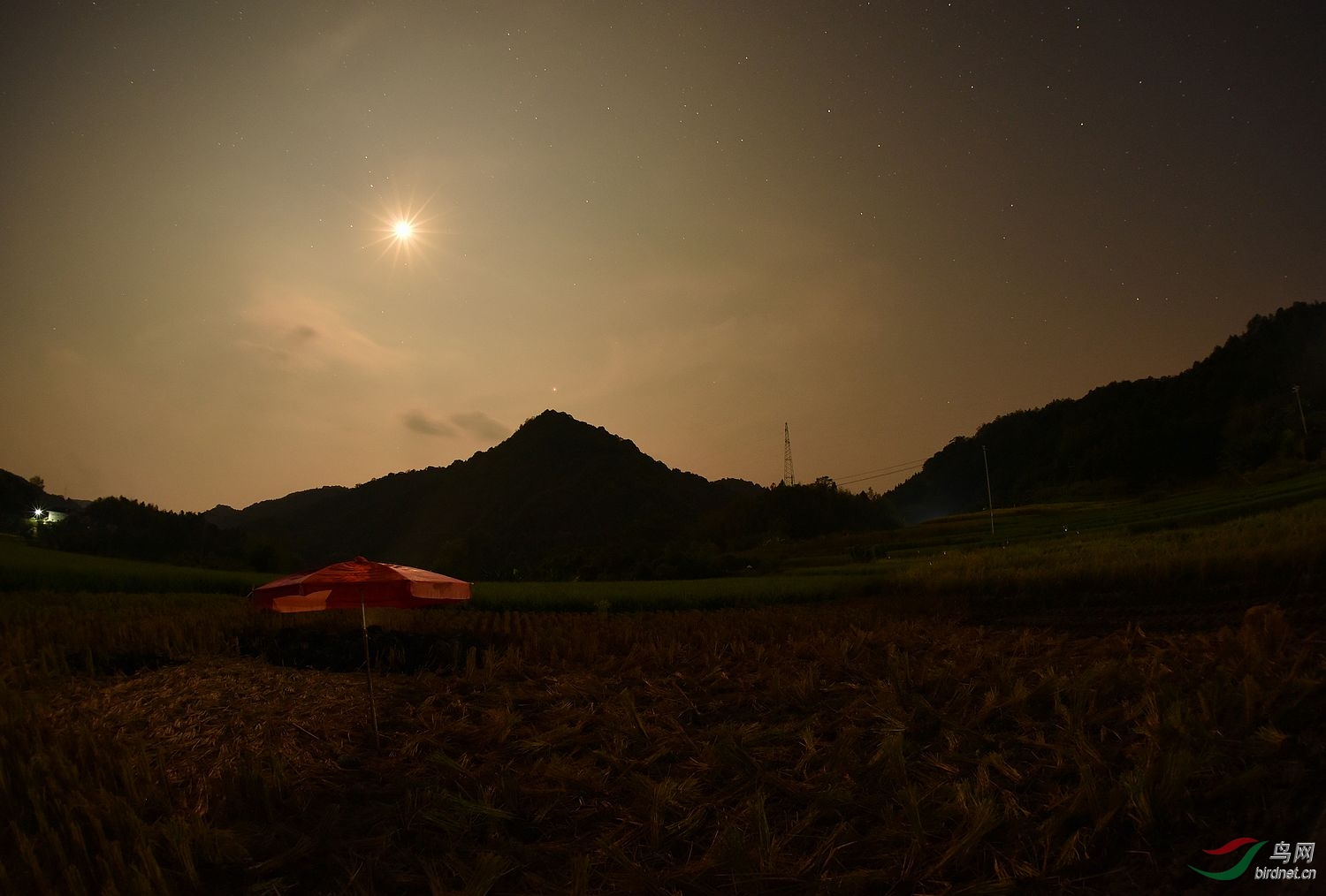 节日乡村游 田头夜景