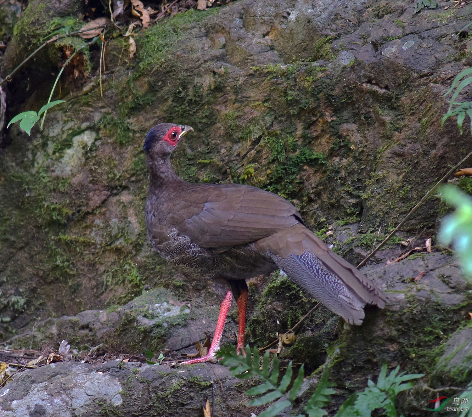 D8I_7602.jpg