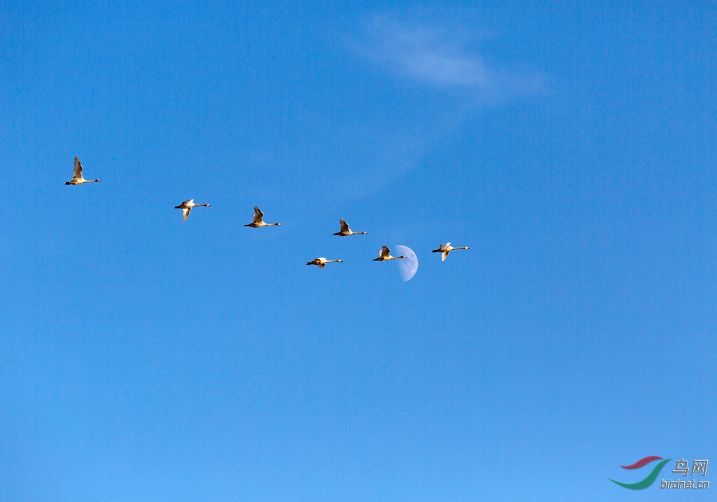 _16A0256  01_����.jpg