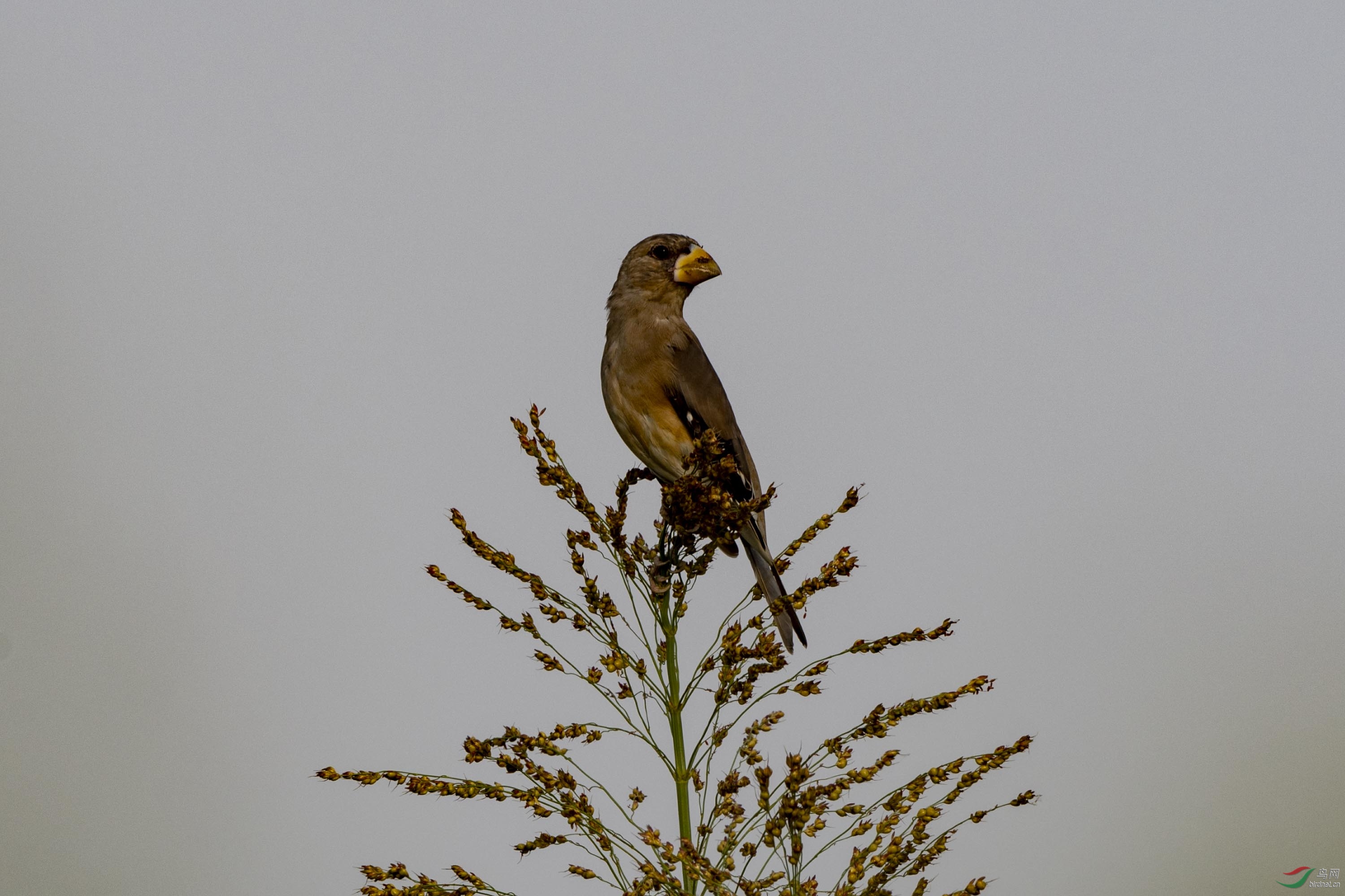 D50_1734.jpg