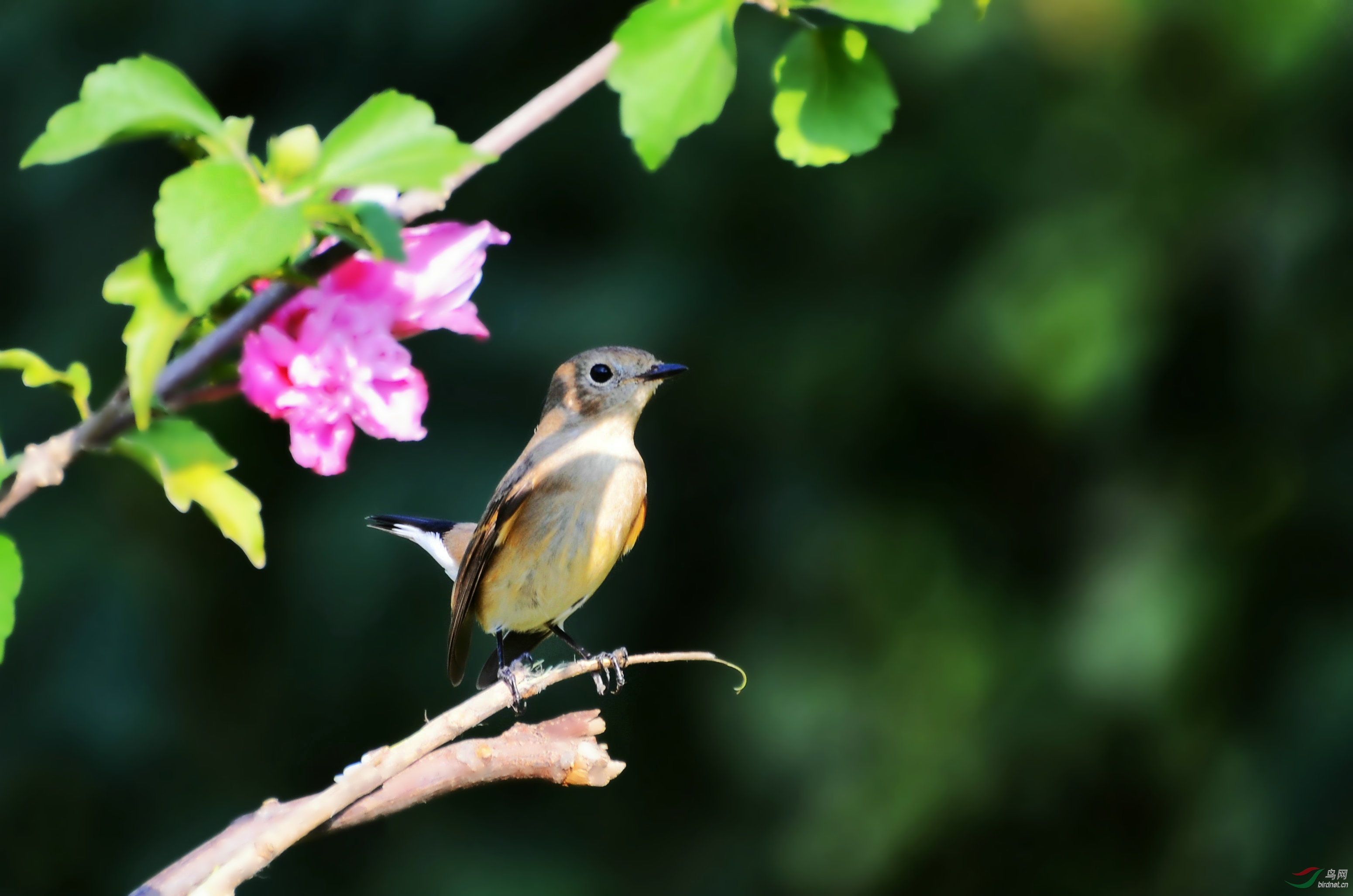 DSC_6557.JPG