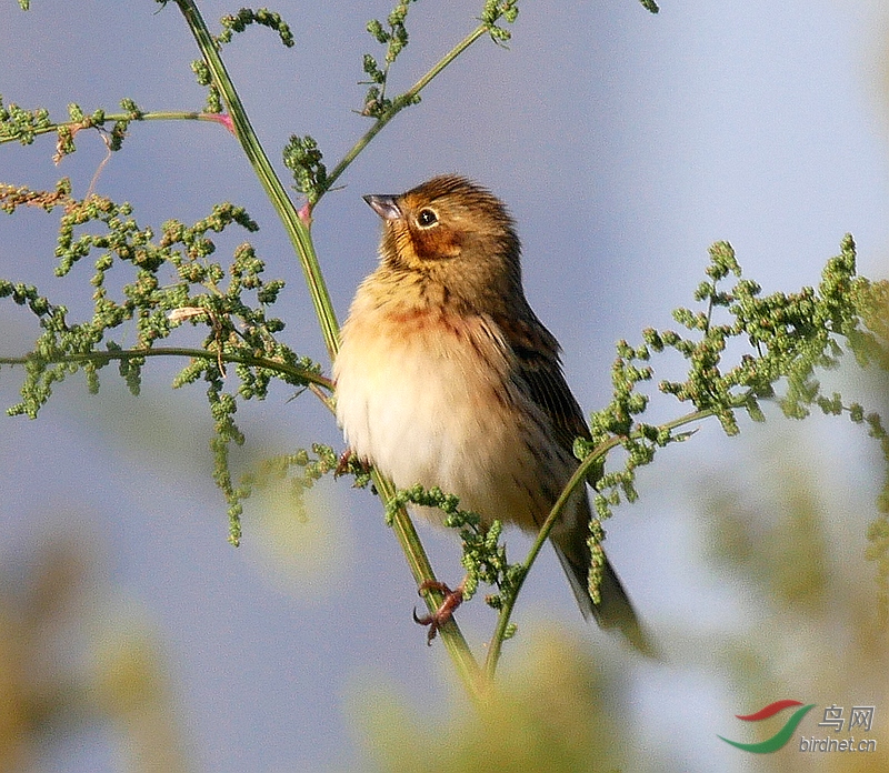 P3410119 - ����.JPG