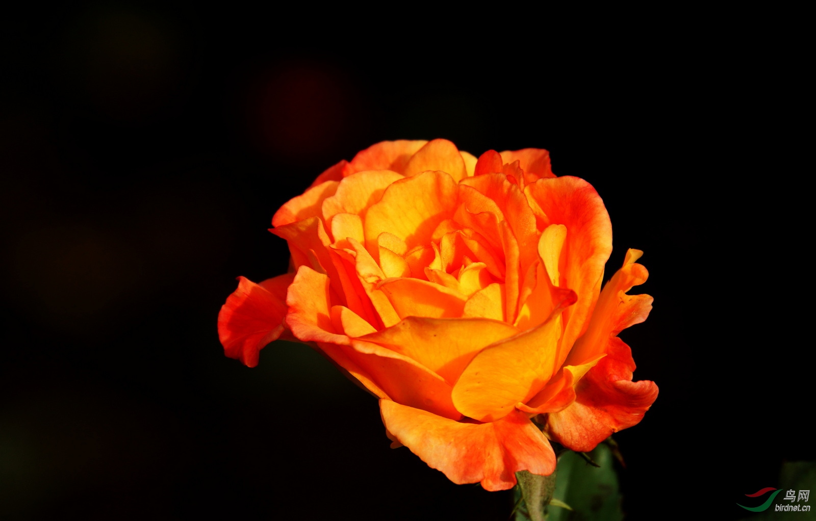 DSC08701.JPG