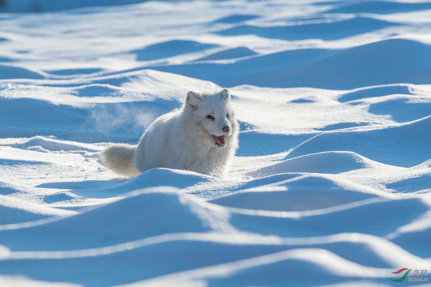 DSC_4566.jpg
