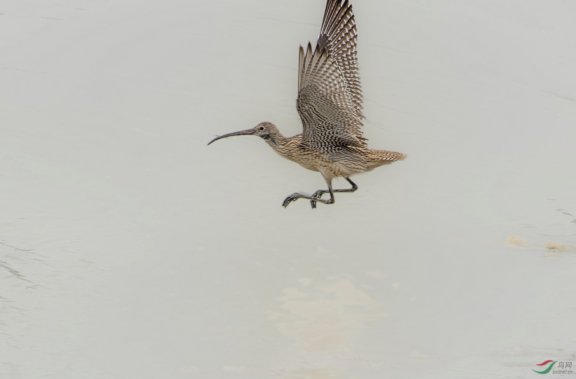 DSC_2565_����.jpg