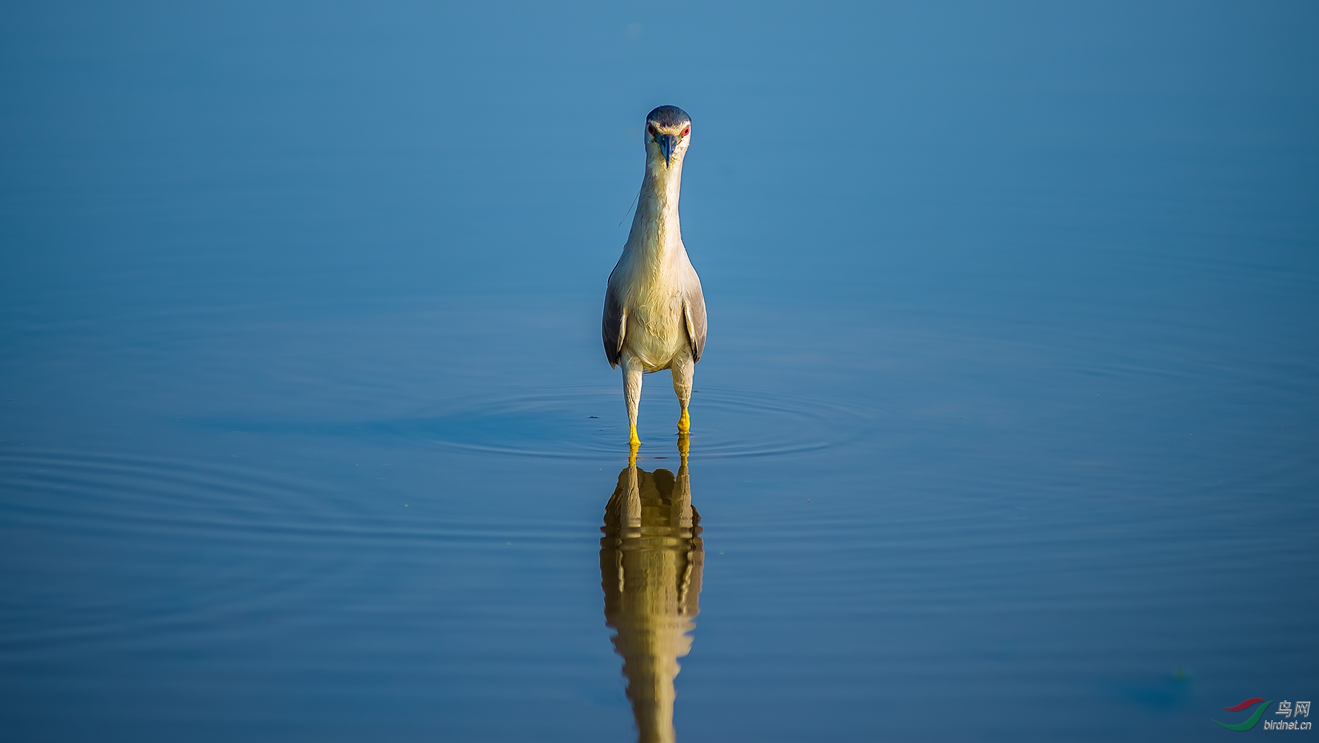 DSC_8447.jpg