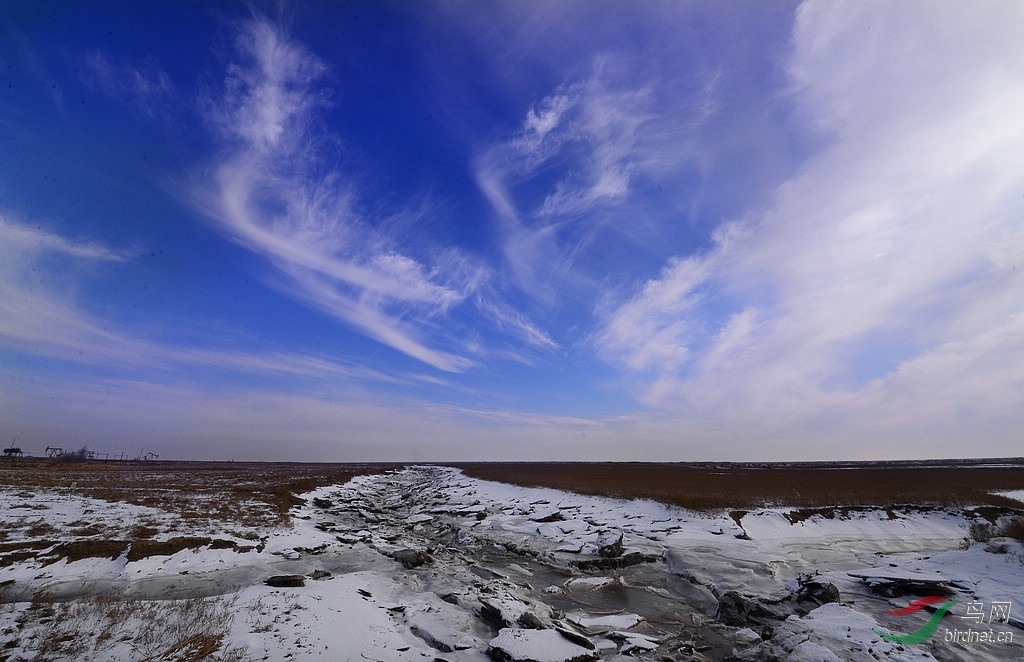 1DSC_0242_����.jpg