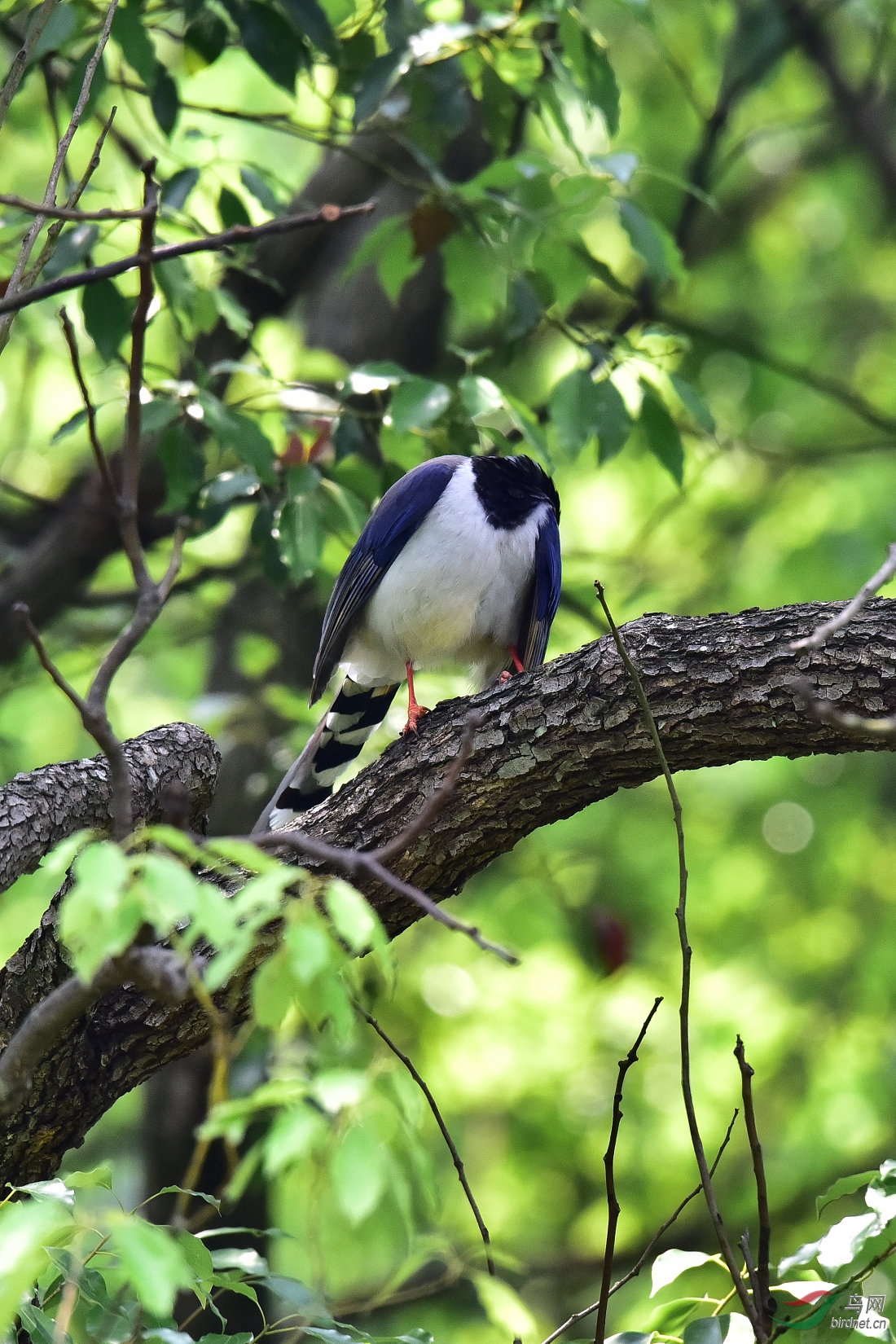 DSC_0488.JPG