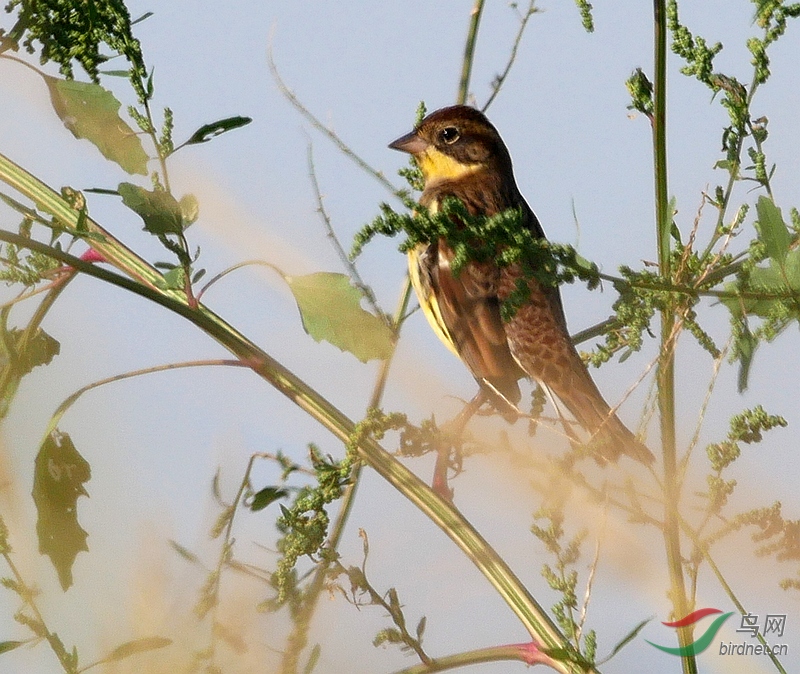 P3400820 - ����.JPG