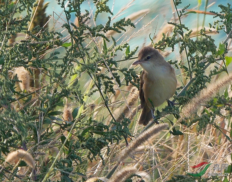 P3400698 - ����.JPG