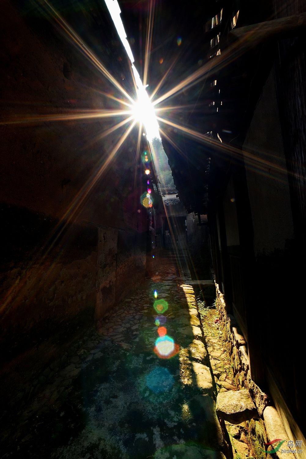 D8I_7276.jpg