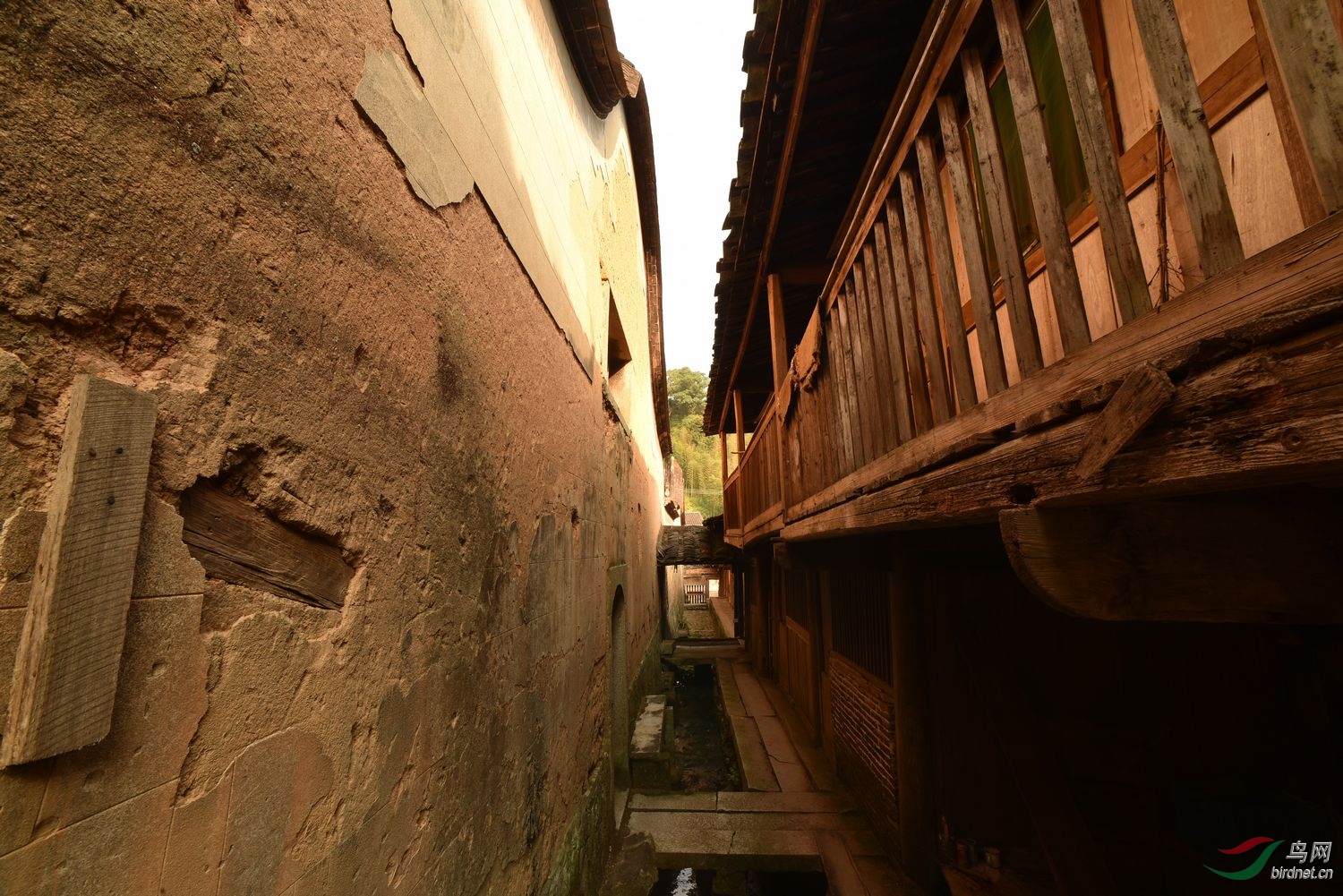 D8I_7395.jpg