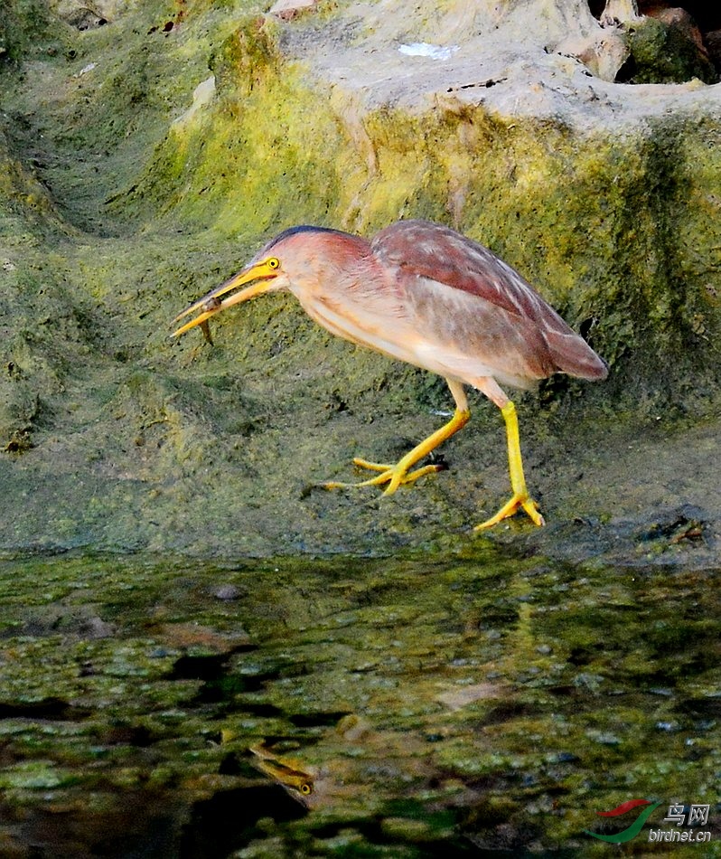 DSC_6352.JPG