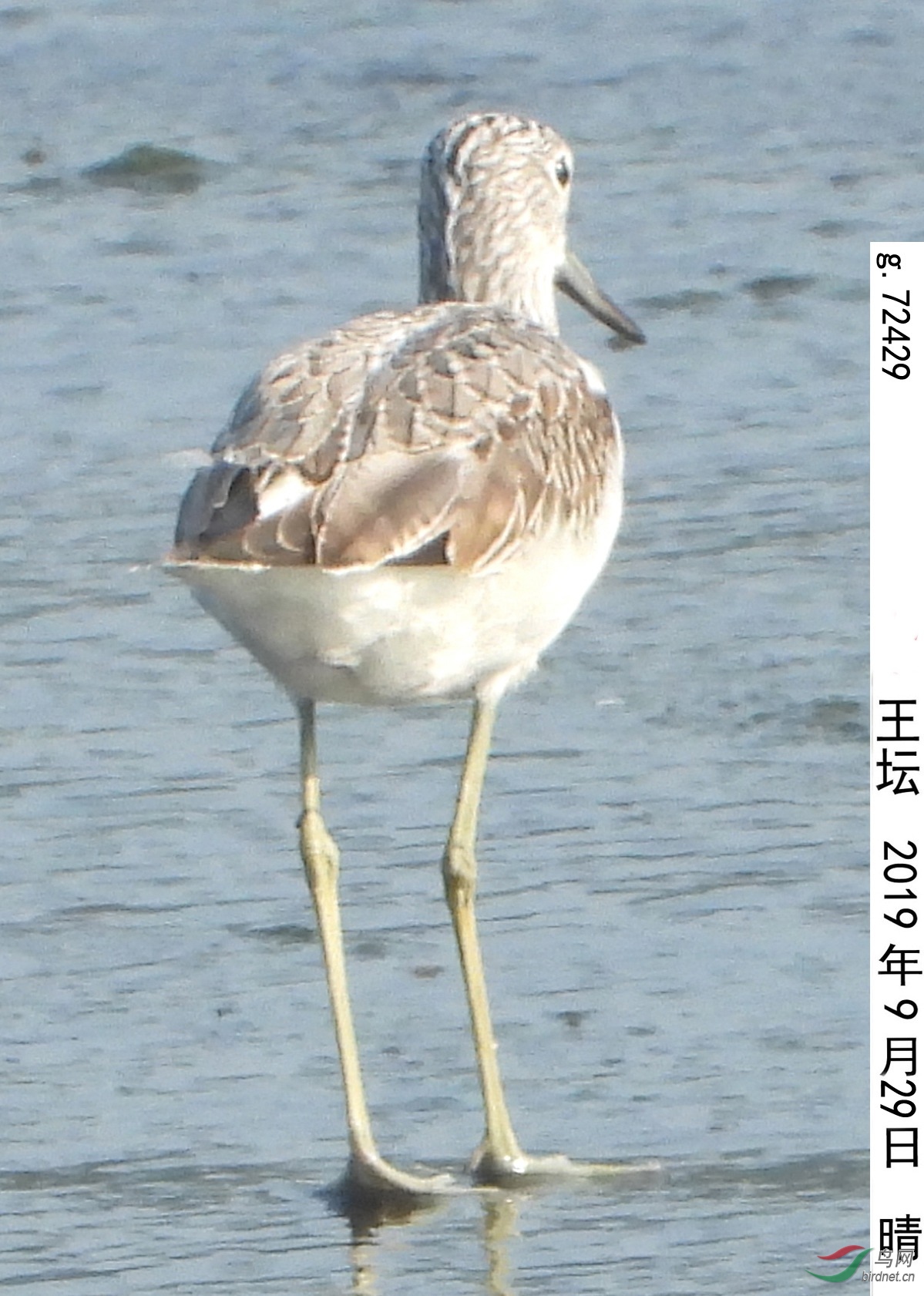 g.72429_����.jpg