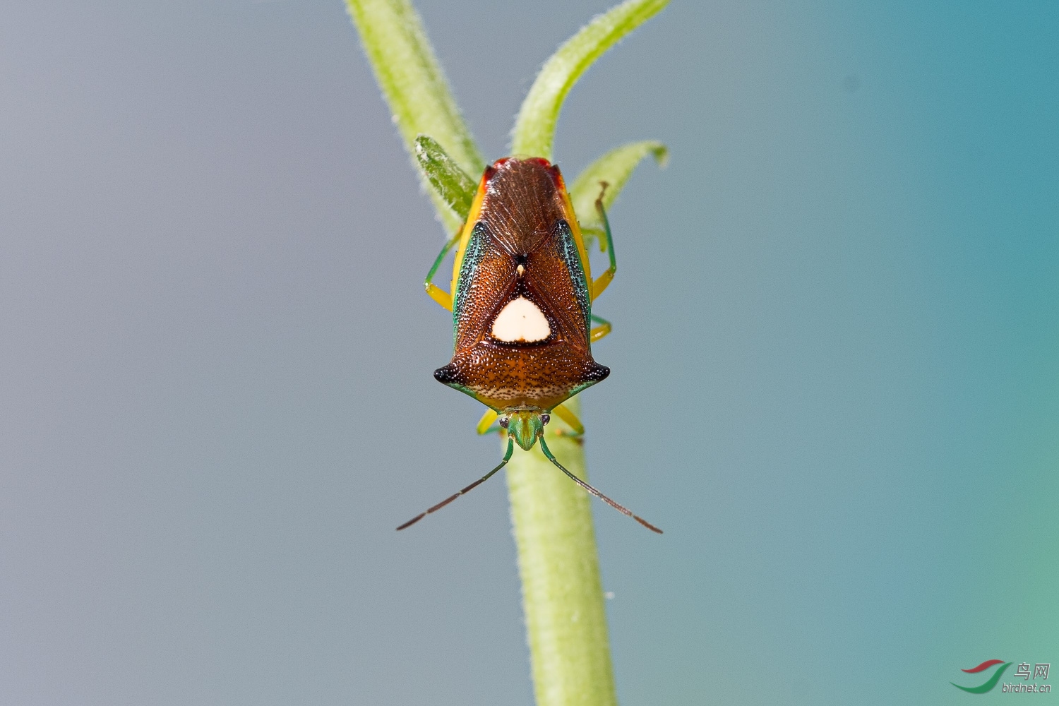 DSC_0633_1.jpg