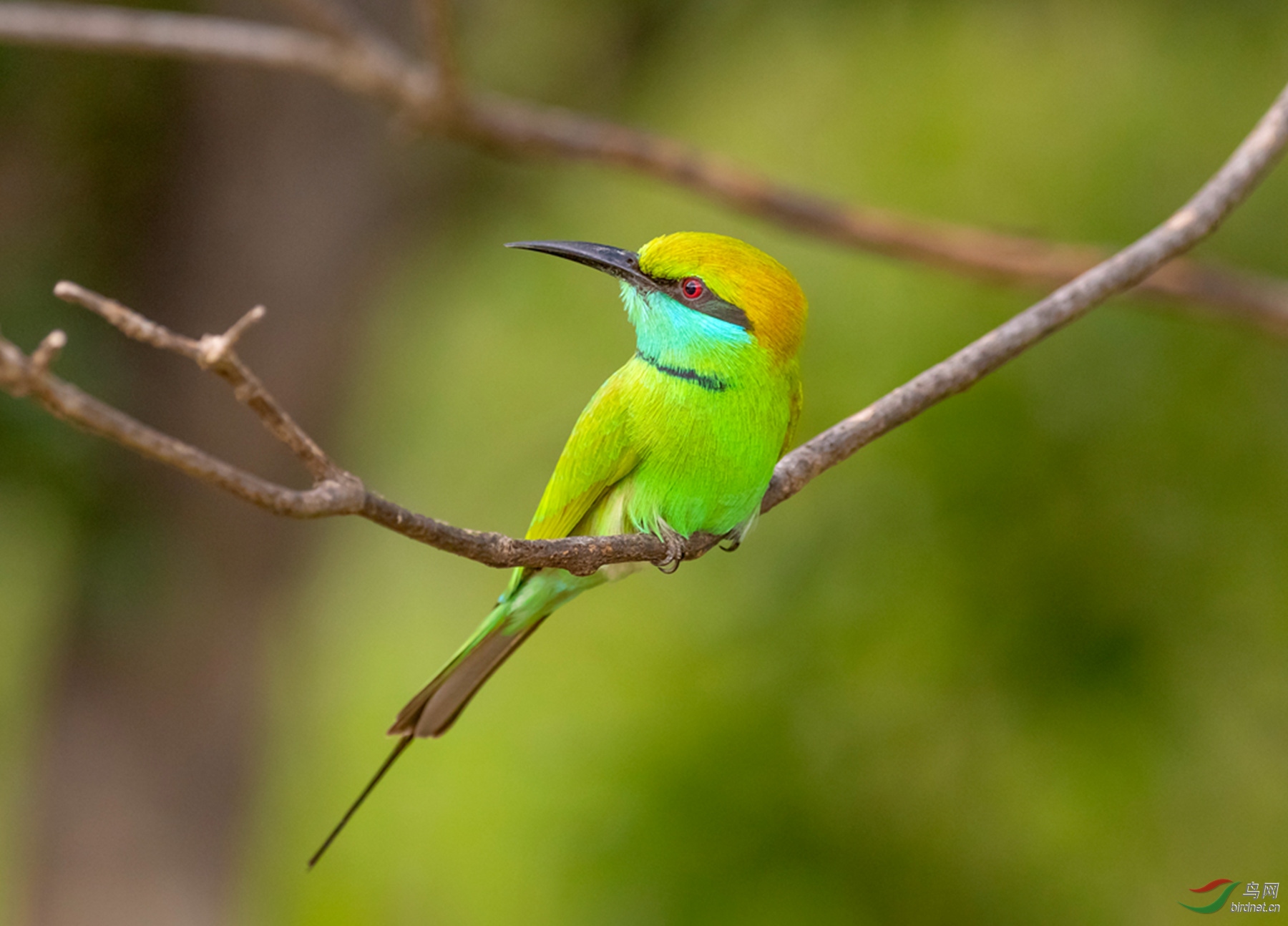 3S5A6383  01_����.jpg