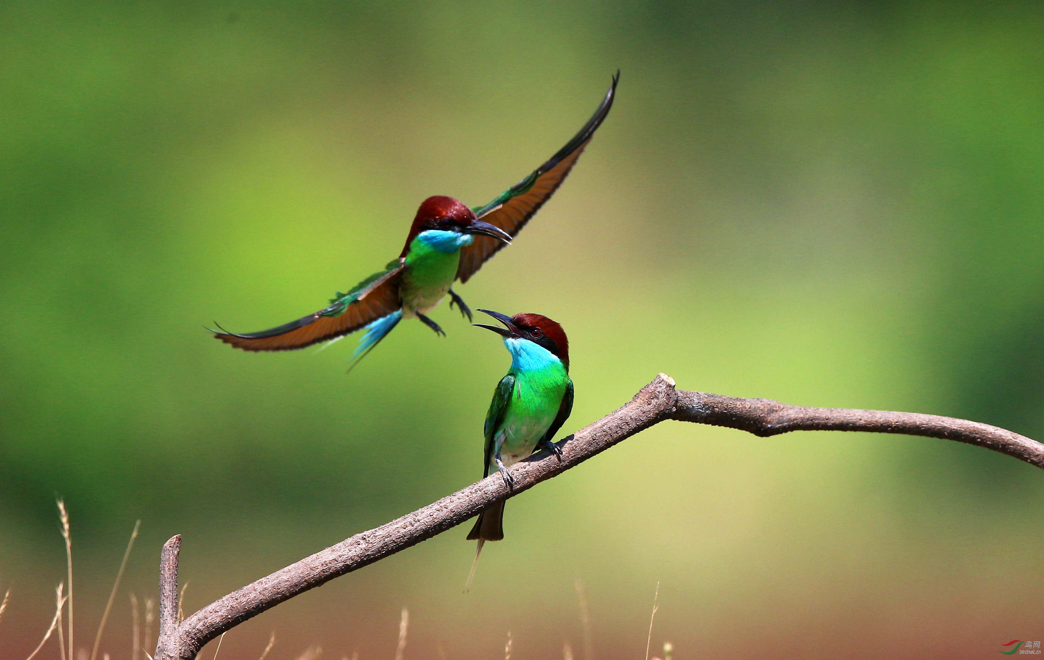 H46R6441_���� (2).jpg