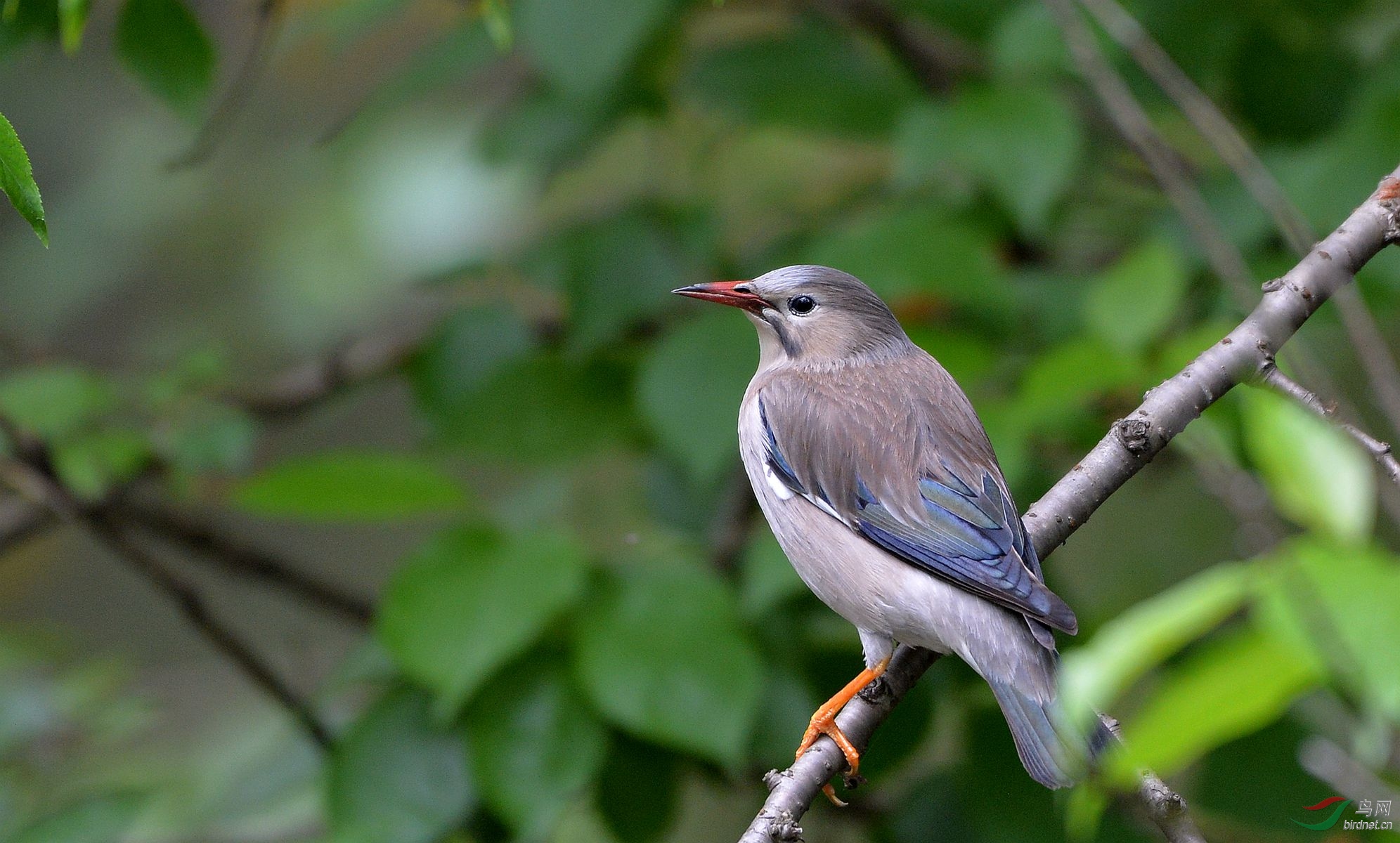 DSC_2280.JPG