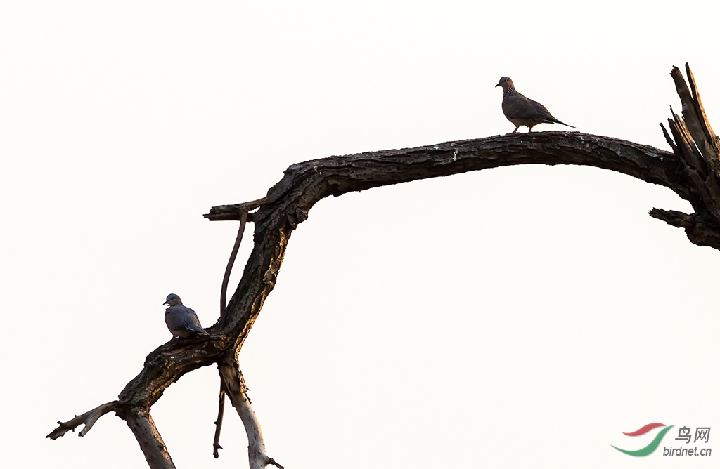 2019.9.29��Ӫʪ�� 0619.jpg