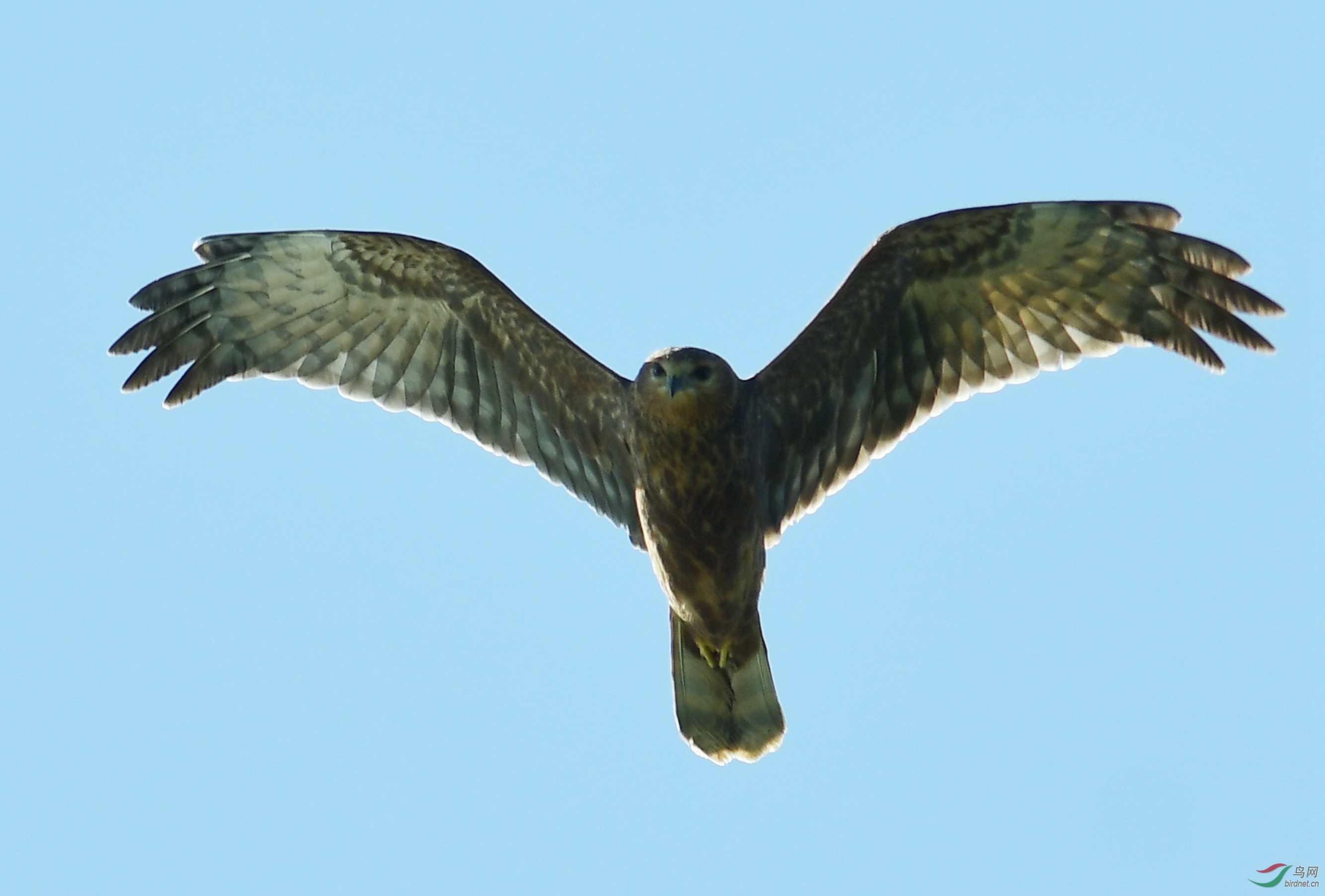 DSC_7427.JPG